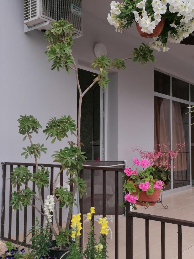 Ferienwohnung Hamboula Polis Exterior foto